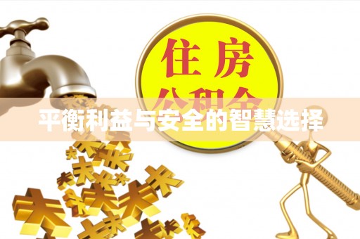 新界平衡利益与安全的智慧选择