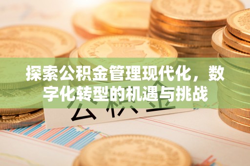 新界探索公积金管理现代化，数字化转型的机遇与挑战
