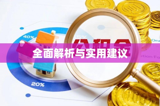 新界全面解析与实用建议