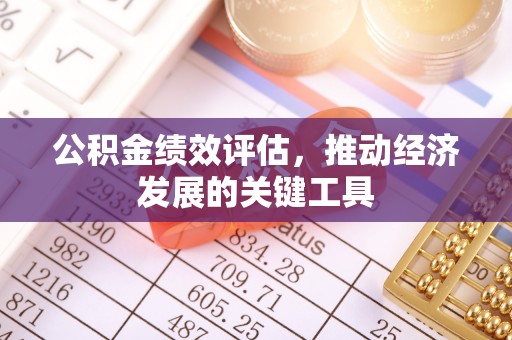 新界公积金绩效评估，推动经济发展的关键工具