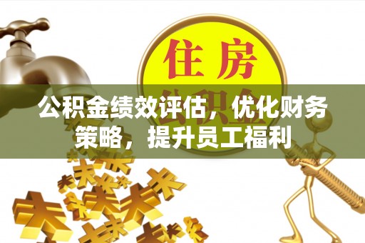 新界公积金绩效评估，优化财务策略，提升员工福利