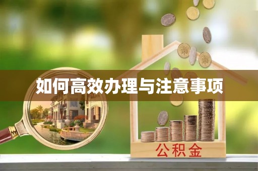 新界如何高效办理与注意事项