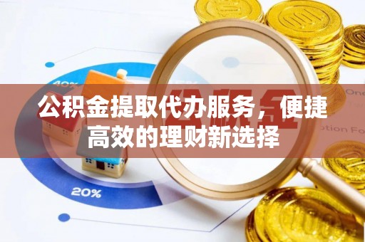 新界公积金提取代办服务，便捷高效的理财新选择