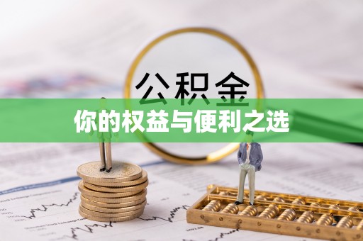 新界你的权益与便利之选