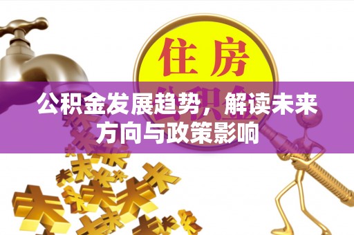 新界公积金发展趋势，解读未来方向与政策影响