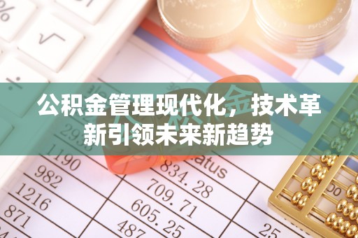 新界公积金管理现代化，技术革新引领未来新趋势