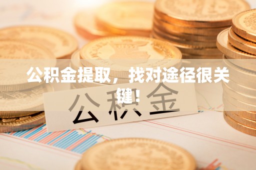 新界公积金提取，找对途径很关键！
