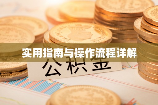 新界实用指南与操作流程详解