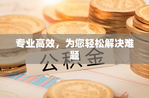 新界专业高效，为您轻松解决难题